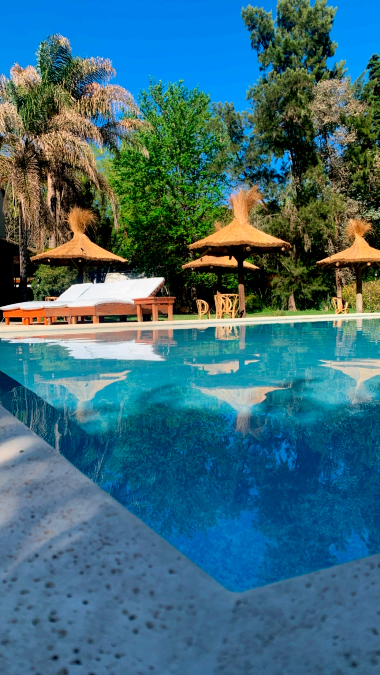 Pileta y parque tropical de Selva Eco Spa en Ituzaingó